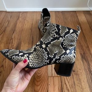 Everlane Snake Skin Boots